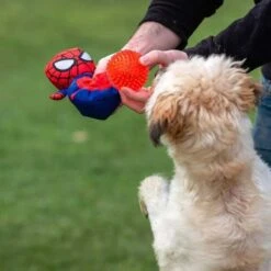 Disney - Pelota Y Peluche Para Perros Tipo Spiderman -Juguete Descuento Tienda medias 11