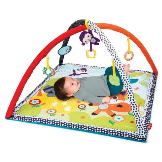 Gimnasio De Actividades Bosque 3 Gimnasio De Actividades Bosque