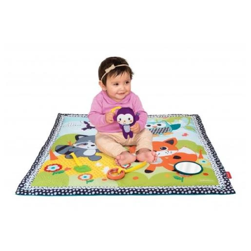 Gimnasio De Actividades Bosque 4 Gimnasio De Actividades Bosque - Imagen 2