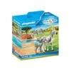 Playmobil - Cebras Con Bebé - 70356