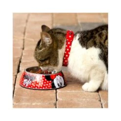 Minnie Mouse- Comedero Perros Tamaño M -Juguete Descuento Tienda medias 764